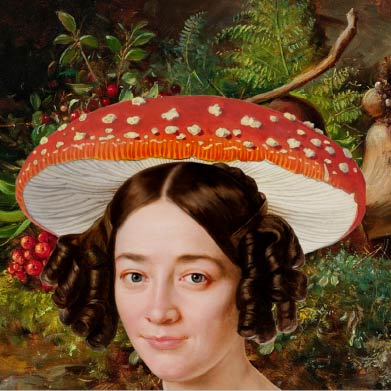 Goryczka Kropkowana 