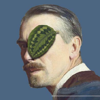 Bez czarny